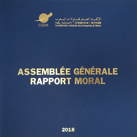 rapport moral CGEM 2018